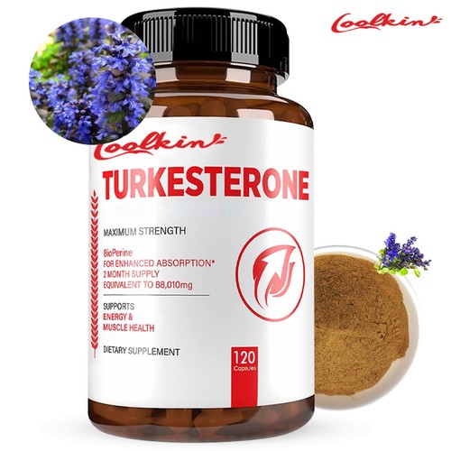 Turkesterone natural muscle - -,